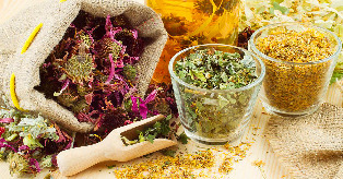 popular herb when prostatitis